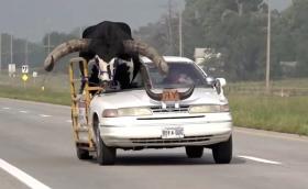 Бикът е истински, Ford-ът също…